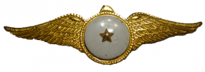 Нагрудный знак Медаль Одной Звезды 