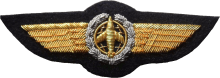 Знак Observer 2nd class
