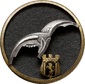 Нагрудный знак 6 авиационный полк 
