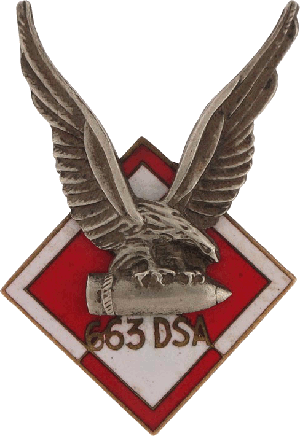 Нагрудный знак 663 Эскадрилья наблюдателей 